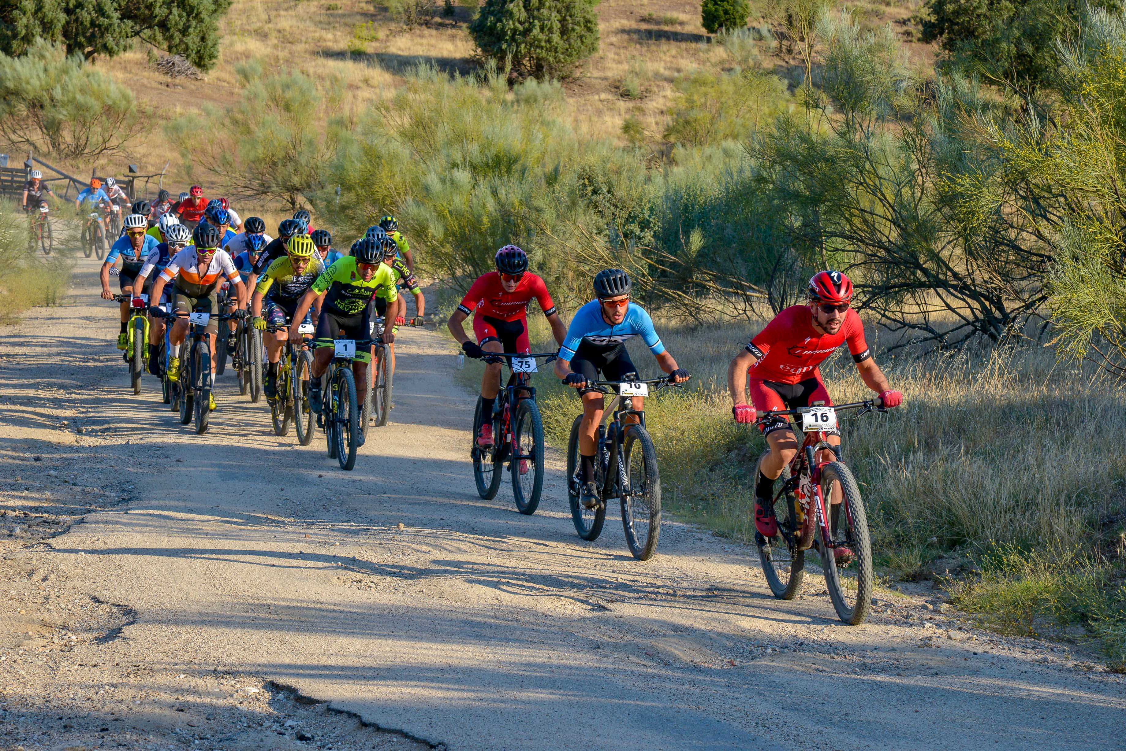 Los mejores bikers se dan cita en el Maraton MTB Festibike