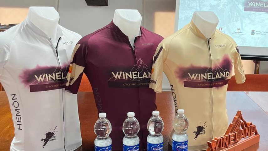 THE-EXPERIENCE-OF-WINELAND-CYCLING