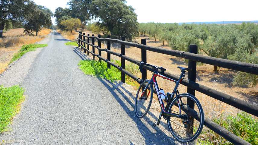 Se-inician-los-trabajos-de-campo-en-la-Ruta-del-Vino-Montilla-Moriles-como-destino-ciclo-enoturistico-de-referencia