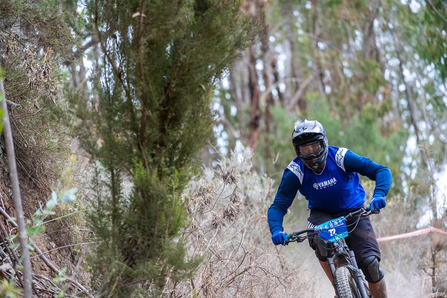 Clasificaciones 29º DHI EL PINO