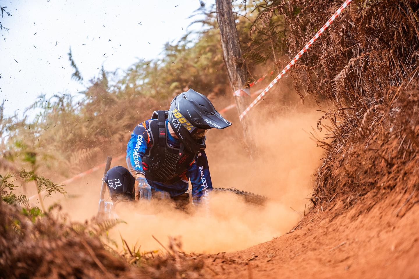 Clasificaciones 29º DHI EL PINO