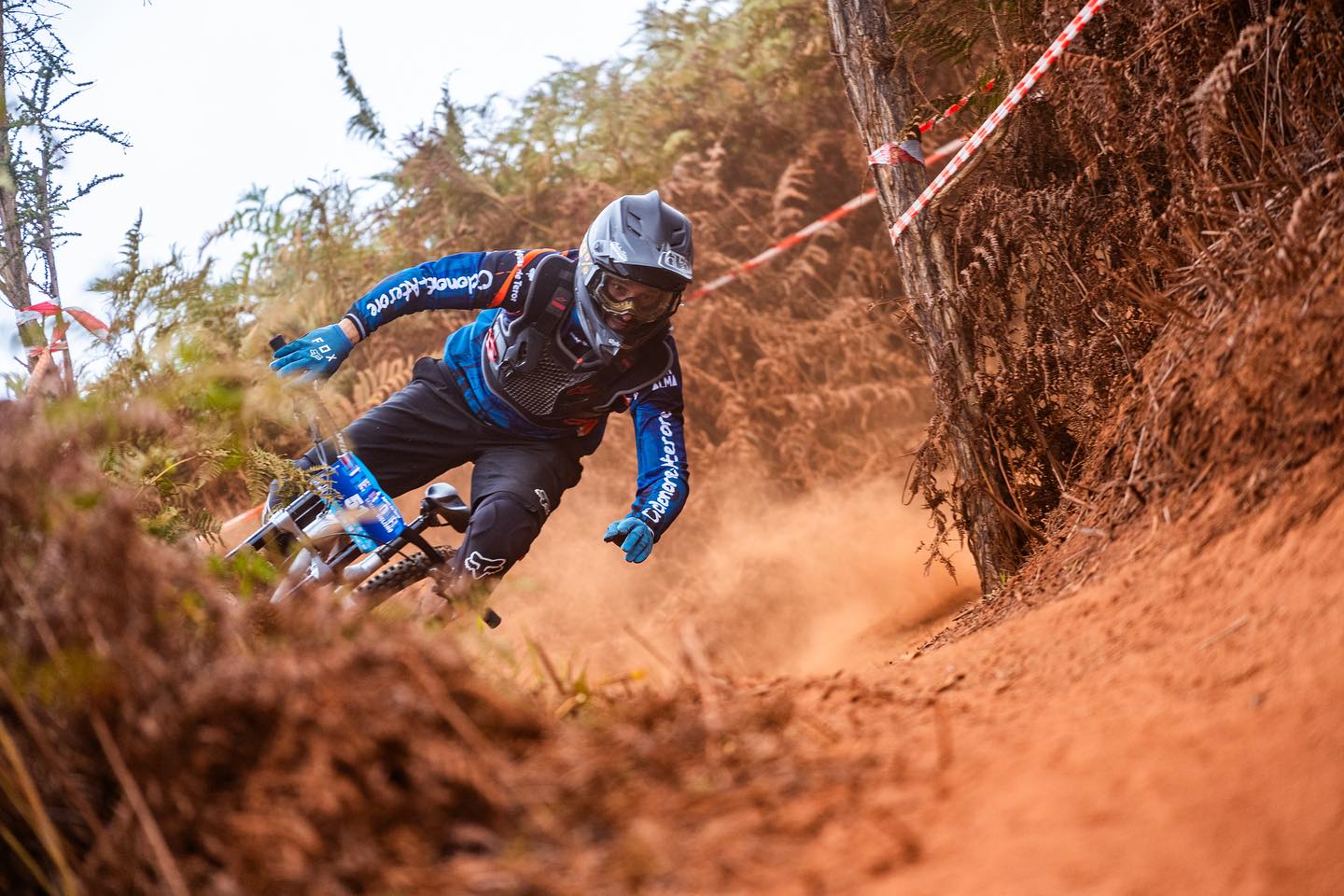 Clasificaciones 29º DHI EL PINO