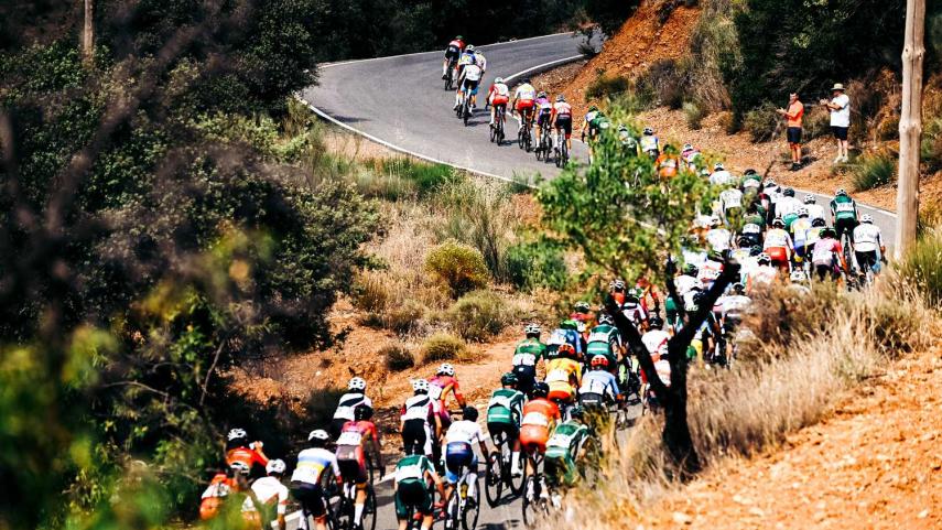 Pliegos-de-condiciones-para-diversas-Copas-de-Espana-y-Campeonatos-de-Espana-2026