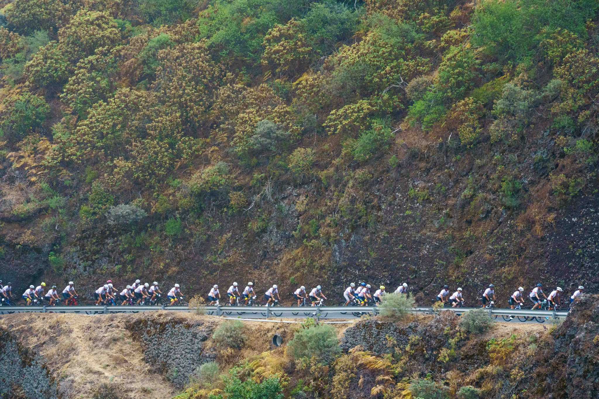 Celebrada la  60º Marcha Cicloturista Virgen de La Cuevita 2025