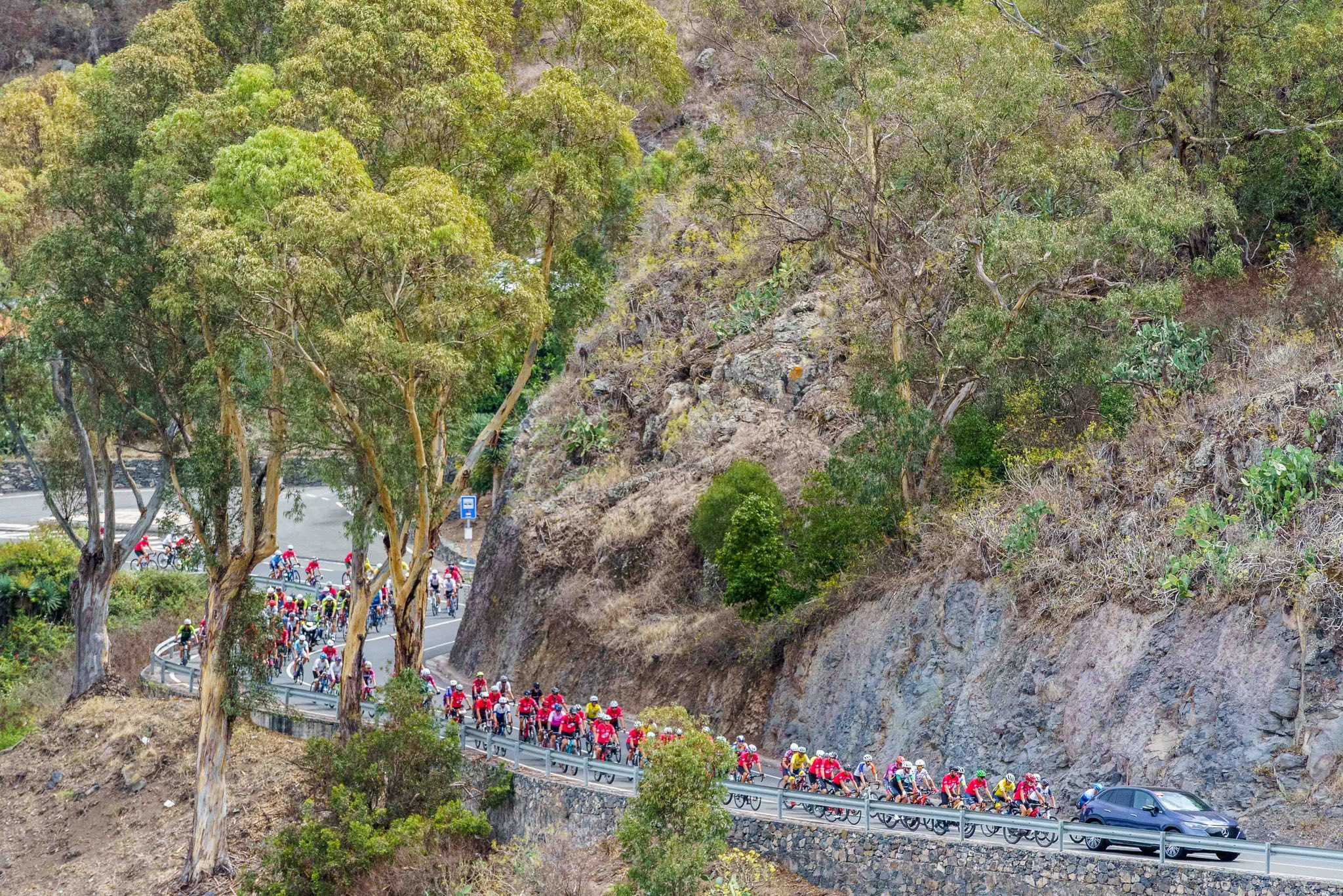 Celebrada la 11ª MARCHA CICLOTURISTA EL PINO 2025