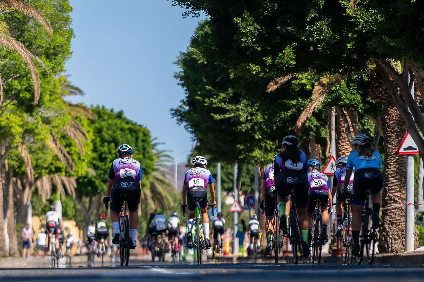 Clasificaciones Escuelas de  Vecindario