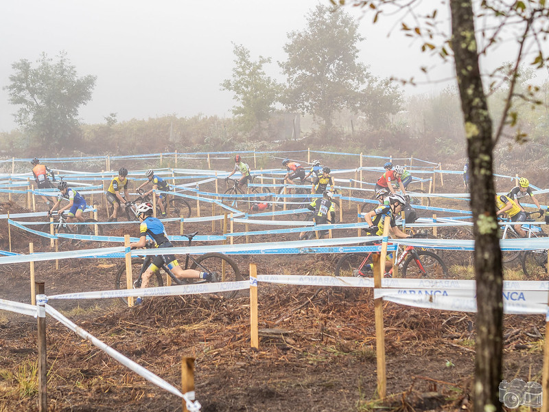 Os viñedos de Terras Gauda son o xardín de Samuel González e Sarela Conde