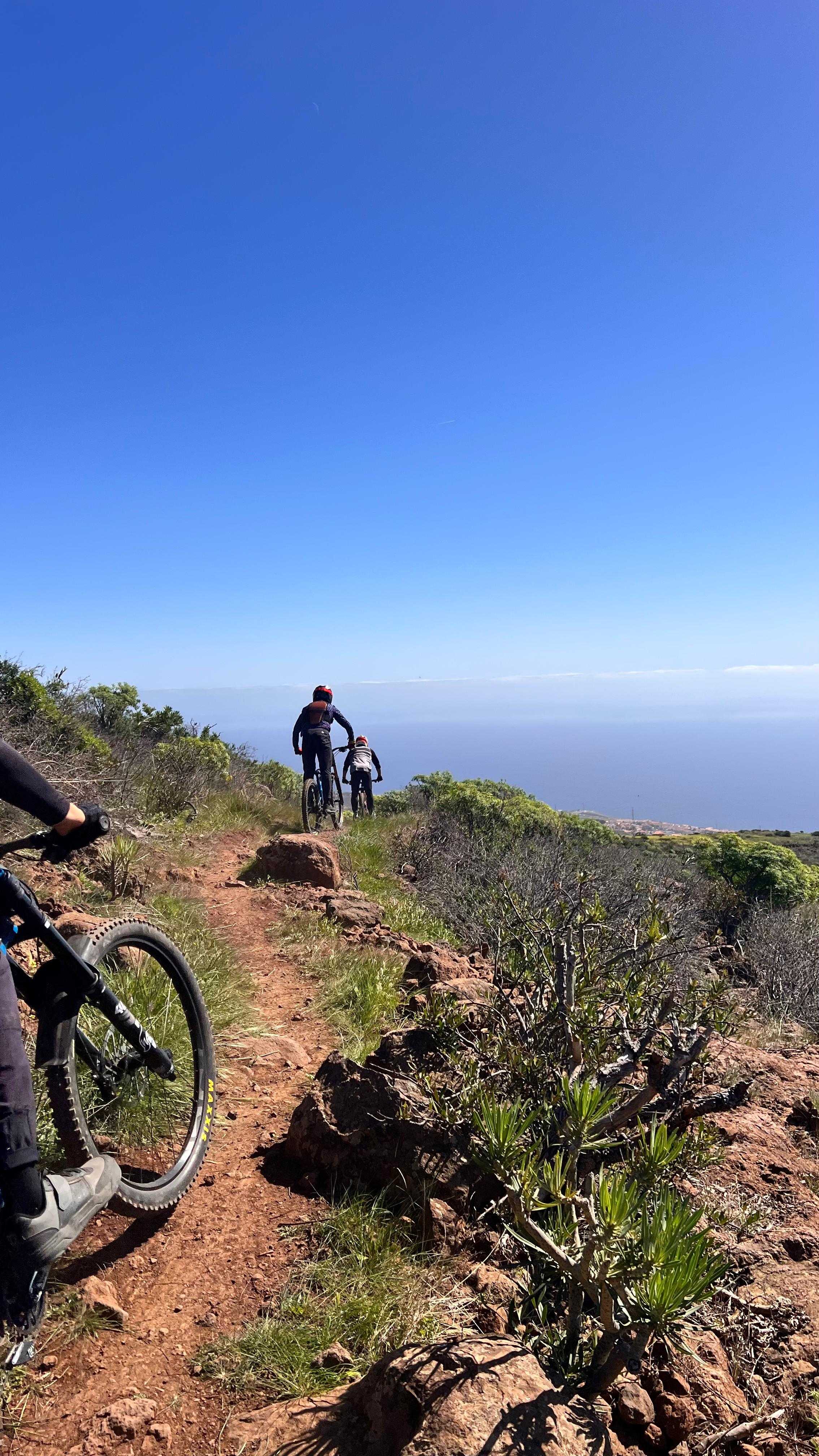 Celebrada Tecnificacion de DHI, en Gran Canaria y Tenerife